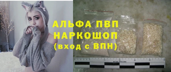 молекула духа Арсеньев